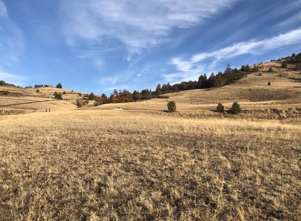 Undeveloped Land in Siskiyou County, California