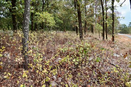 Undeveloped Land in Le Flore County, Oklahoma