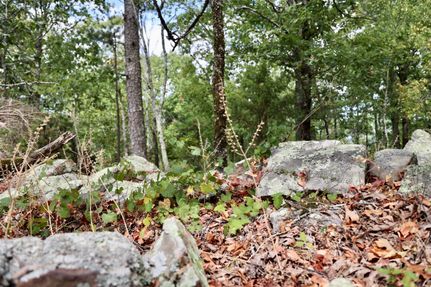 Homesite in Le Flore County, Oklahoma
