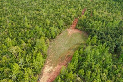 Land in Dallas County, Alabama