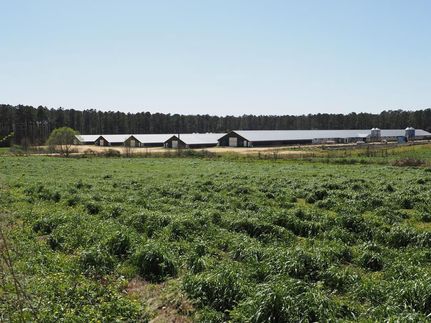 Farm and Ranch in Covington County, Mississippi