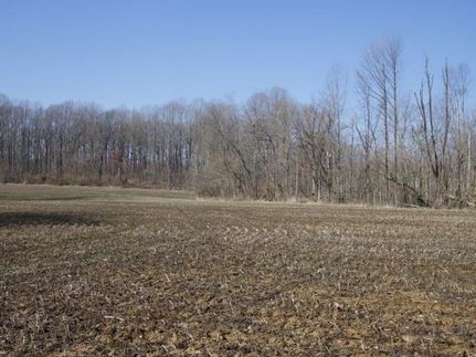 Timberland Property in Sullivan County, Indiana