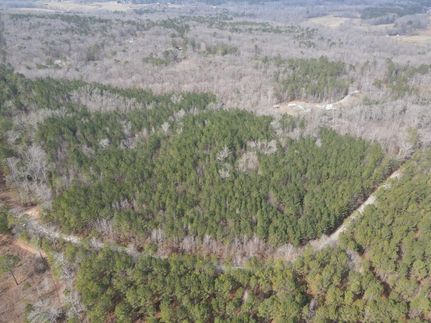 Undeveloped Land in Carroll County, Georgia