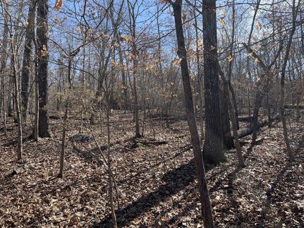 Homesite in Izard County, Arkansas