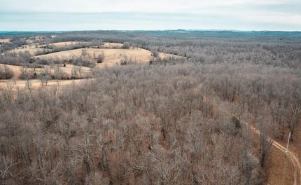 Timberland Property in Baxter County, Arkansas