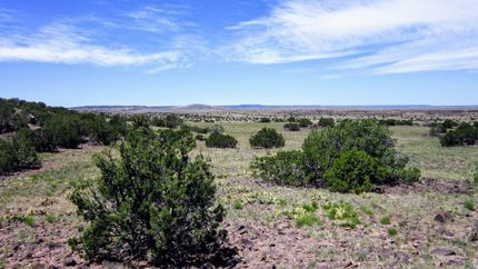 Undeveloped Land in Apache County, Arizona