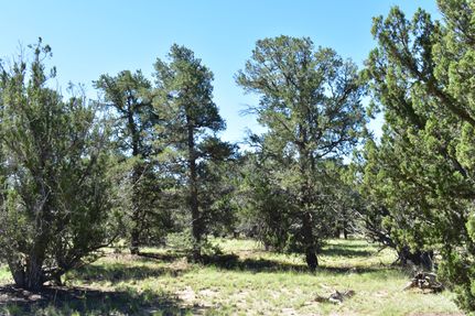 Farm and Ranch for sale in Cibola County, New Mexico