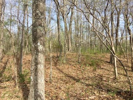 Commercial Property in Texas County, Missouri