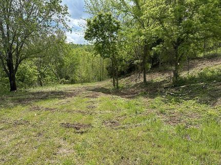 Undeveloped Land in Carter County, Missouri