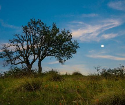 Undeveloped Land in Blanco County, Texas