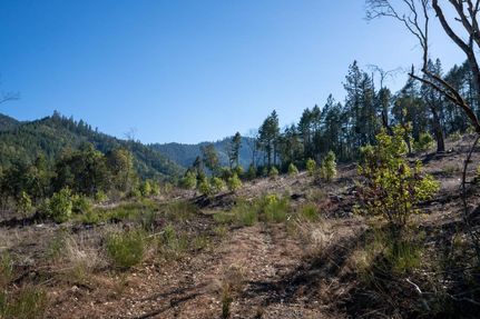 Undeveloped Land in Josephine County, Oregon