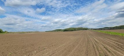 Timberland Property in Greene County, Indiana