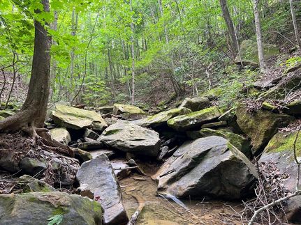Hunting Property in Pike County, Ohio
