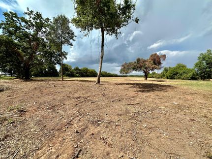 Timberland Property in Avoyelles Parish, Louisiana