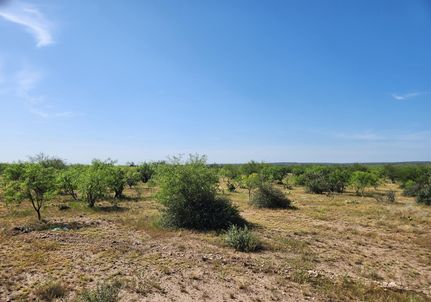 Recreational Property for sale in Menard County, Texas