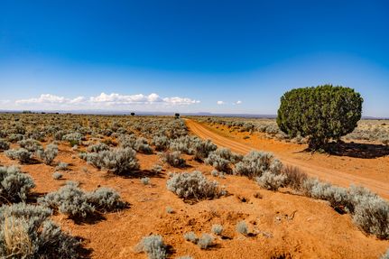 Undeveloped Land in Apache County, Arizona