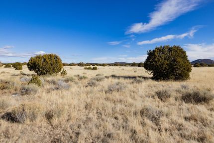 Land in McKinley County, New Mexico