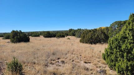 Farm and Ranch in Apache County, Arizona