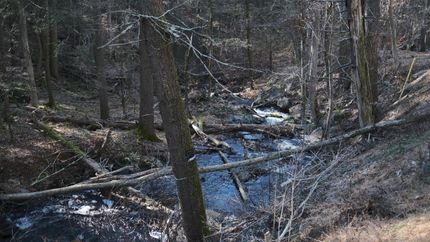 Undeveloped Land in Sullivan County, New York