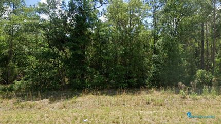 Farm and Ranch in Putnam County, Florida