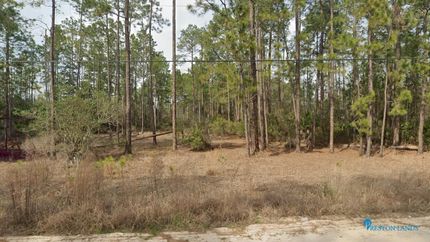 Farm and Ranch in Putnam County, Florida