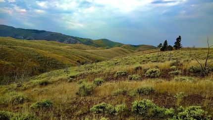 Farm and Ranch in Broadwater County, Montana