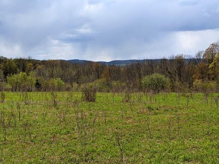 Hunting Property in Otsego County, New York