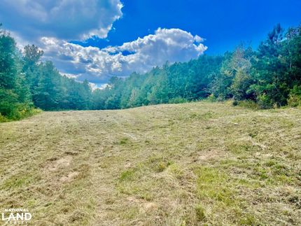 Undeveloped Land in Jefferson County, Alabama