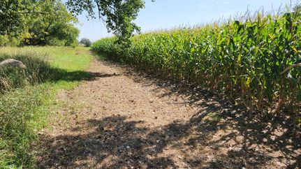 Hunting Property in Roberts County, South Dakota