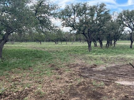 Undeveloped Land in Gillespie County, Texas