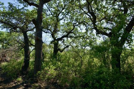 Farm and Ranch in Young County, Texas