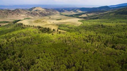 Farm and Ranch in Rio Grande County, Colorado