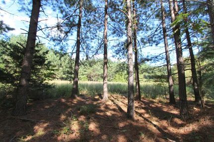 Undeveloped Land in Humphreys County, Tennessee