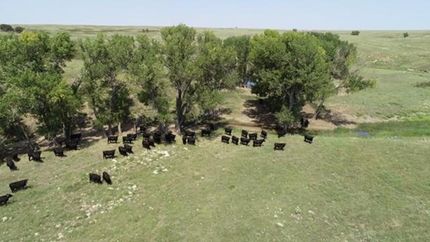 Recreational Property in Clark County, Kansas