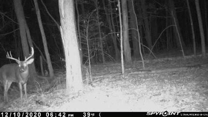 Farm and Ranch in Athens County, Ohio