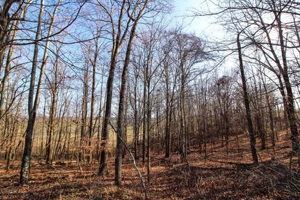 Recreational Property in Muskingum County, Ohio