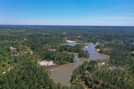 Timberland Property in Escambia County, Alabama