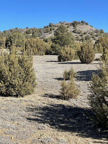 Farm and Ranch in Las Animas County, Colorado