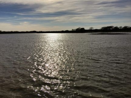 Farm and Ranch in McLennan County, Texas