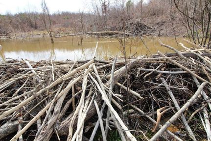 Farm and Ranch in Gallia County, Ohio