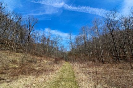 Timberland Property in Muskingum County, Ohio