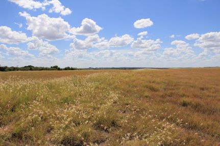 Farm and Ranch in Taylor County, Texas