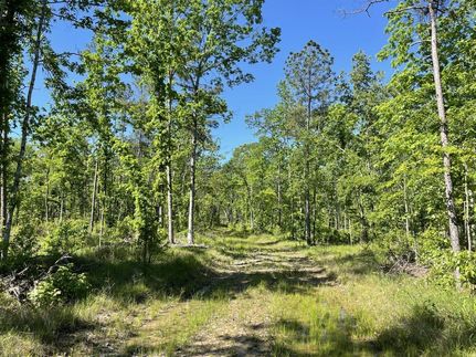 Timberland Property in Pulaski County, Arkansas