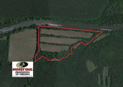 Hunting Property in Halifax County, Virginia
