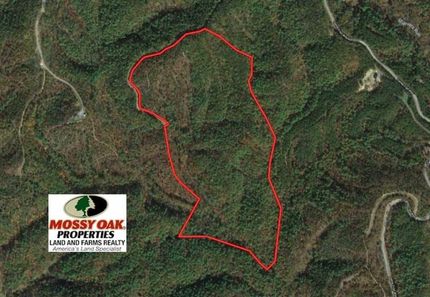 Recreational Property in Alleghany County, Virginia