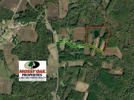 Timberland Property in Orange County, North Carolina