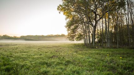 Recreational Property in Upshur County, Texas