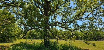 Farm and Ranch in Seminole County, Oklahoma