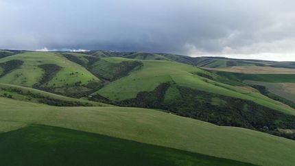 Farm and Ranch in Umatilla County, Oregon