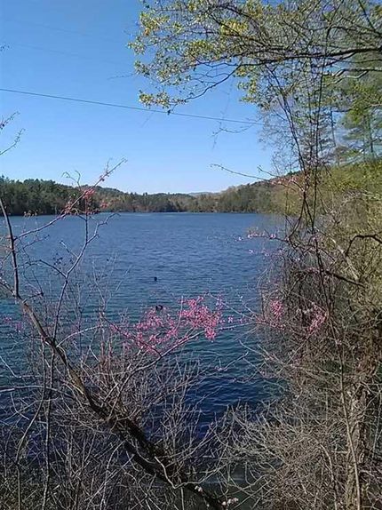 Timberland Property in Cherokee County, North Carolina